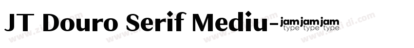 JT Douro Serif Mediu字体转换